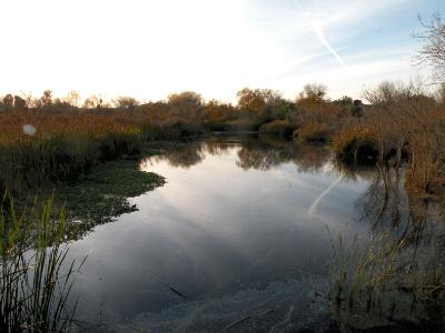 The San Diego River