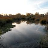 The San Diego River