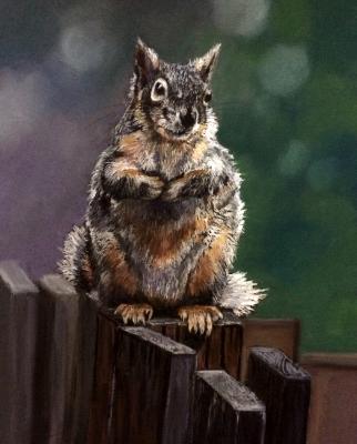 Got Nuts? Got Nuts?