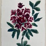Rhododendron  brush paint