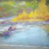 Idaho Stream