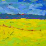 Idaho Field