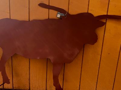 LONG EARED STEER LONG EARED STEER