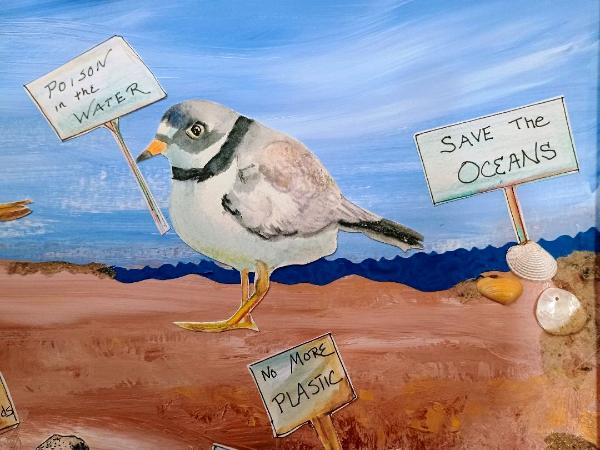 plover