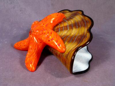 #11 #05211403 Starfish on Shell #11 #05211403 Starfish on Shell