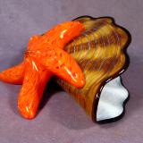 #11 #05211403 Starfish on Shell