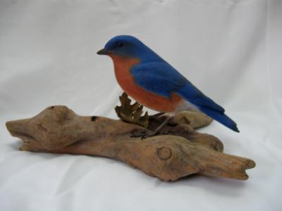 Bluebird Bluebird