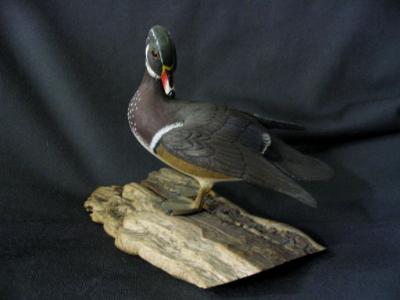 Half size Preening Woodduck Half size Preening Woodduck