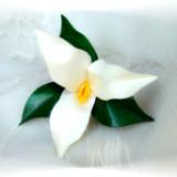 White Trillium Wildflower Pin