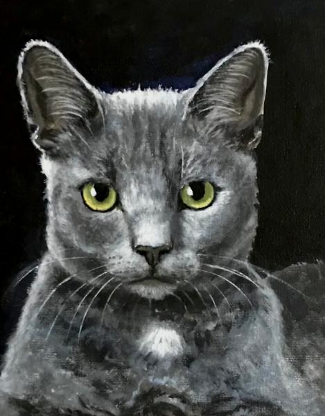 Blue cat