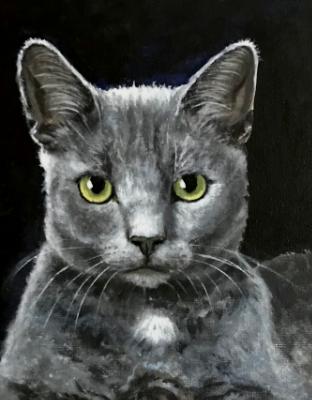 Blue cat Blue cat