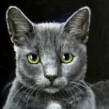 Blue cat