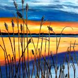 Sunset with Reeds 