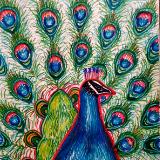 katnaj Artworks    *Colors in Harmony*   Earth,  Life,  Nature