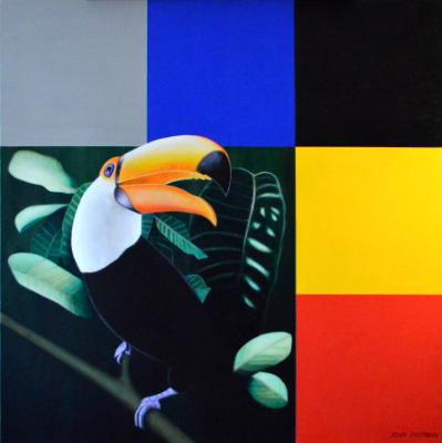 Toucan II Toucan II