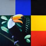 Toucan II