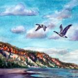 Flight over Scarborough Bluffs