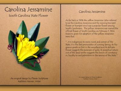 Carolina Jessamine