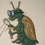 The Gold Bug