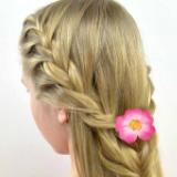 Pink Wild Rose Hair Clip