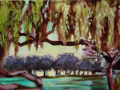 canopy (julliard park)