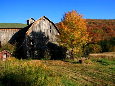 Barkaboom Barn Barkaboom Barn