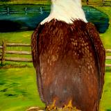 Eagle