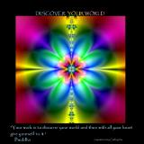 Discover your world