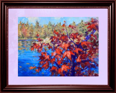 The Maple’s Song in Algonquin Park 