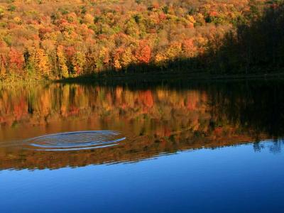 Autumn Reflections Autumn Reflections