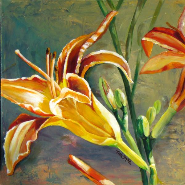 Orange Lily