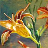 Orange Lily