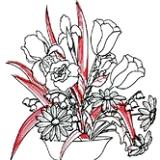 Michelle Parkes Floral artist