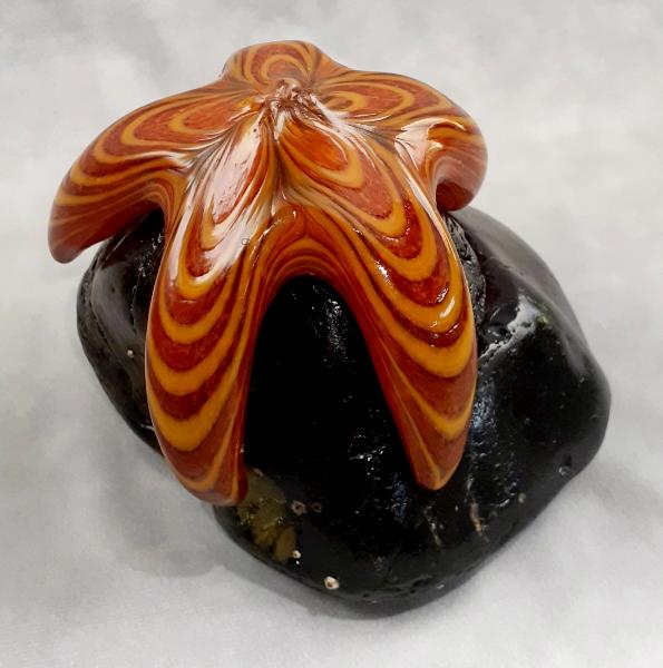 #08042511 Starfish on Rock 5''HX6.5''WX5.75''L $150.00