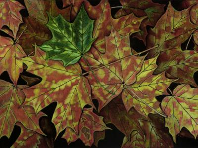 New Leaf New Leaf