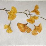 Recently Sold artwork Recently Sold artwork