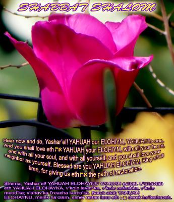 Blessing_Day 7_Shabbat Morning Blessing_Day 7_Shabbat Morning