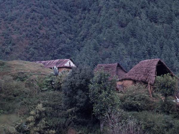 Thatched hut, Nepal