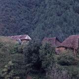 Thatched hut, Nepal
