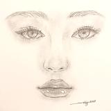SKETCH 2