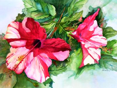 Red Hibiscus Red Hibiscus