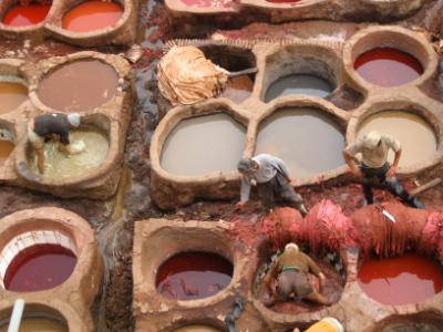 Fez Tannery Workers