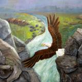 Eagles domain