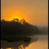 Calabash Dawn