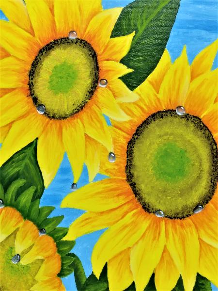 Sunflowers