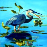 Great Blue Heron - oil - 20x20 sold