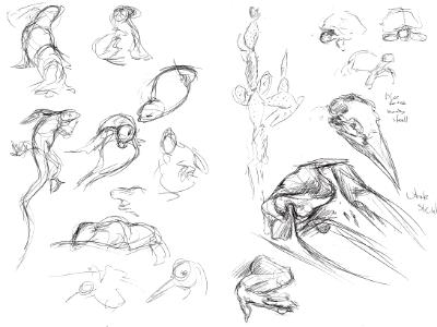 Galapagos sketches 10