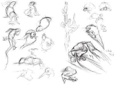 Galapagos sketches 10 Galapagos sketches 10