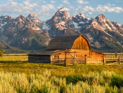 Mormon Row Sunrise Panorama (click for full width) Mormon Row Sunrise Panorama (click for full width)