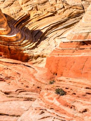 White Pocket Rock Striations White Pocket Rock Striations